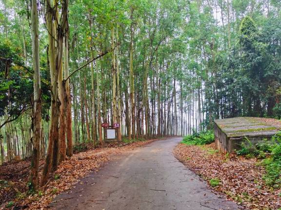 b327d0b5773bbb44c47596790116781c.jpg b327d0b5773bbb44c47596790116781c.jpg